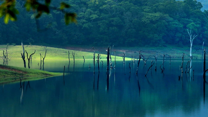 Thekkady travel packages
