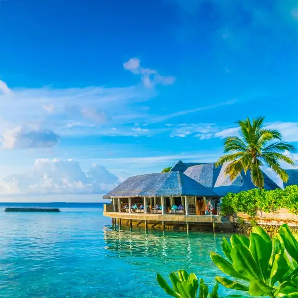 Best Travel Agency in Angamaly